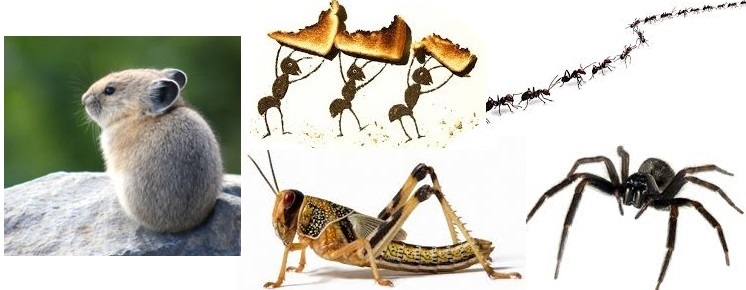 지혜로운 자들.jpg