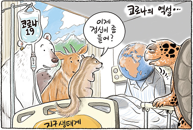 코로나의 역설.jpg
