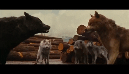 짐승 인생들.gif