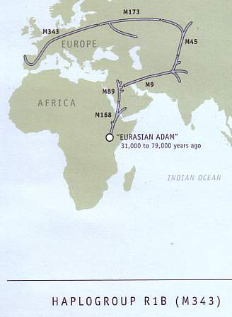 Migrations from Africa