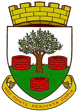 wells
              city arms