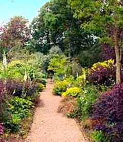 Abbey Dore Gardens