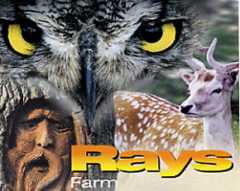 Rays Farm