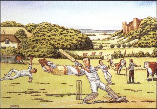 Cricket Match