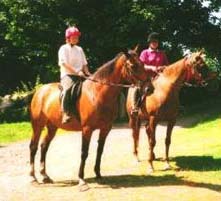 horse riding -
                                okehampton